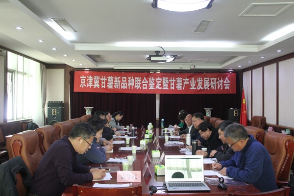 ׯ�к���Ϸ(�й�)�ɷ����޹�˾-����