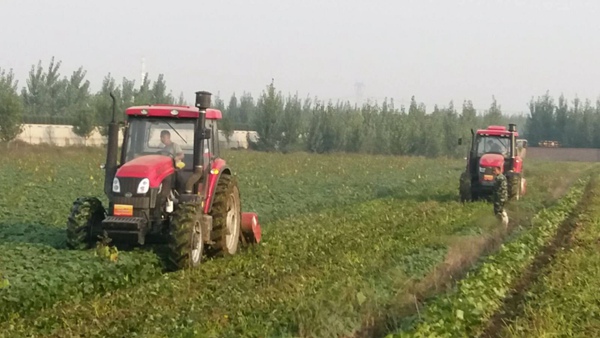 ׯÏкÍÓÎÏ·(Öйú)¹É·ÝÓÐÏÞ¹«Ë¾-¹ÙÍø