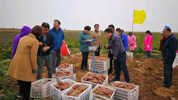 庄闲和游戏(中国)股份有限公司-官网