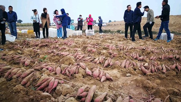 庄闲和游戏(中国)股份有限公司-官网