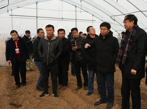 ׯ�к���Ϸ(�й�)�ɷ����޹�˾-����