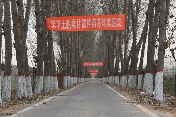 ׯ�к���Ϸ(�й�)�ɷ����޹�˾-����