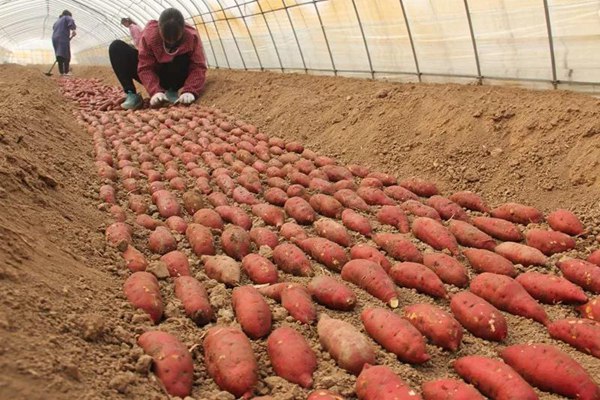 ׯ�к���Ϸ(�й�)�ɷ����޹�˾-����