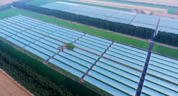 ׯ�к���Ϸ(�й�)�ɷ����޹�˾-����