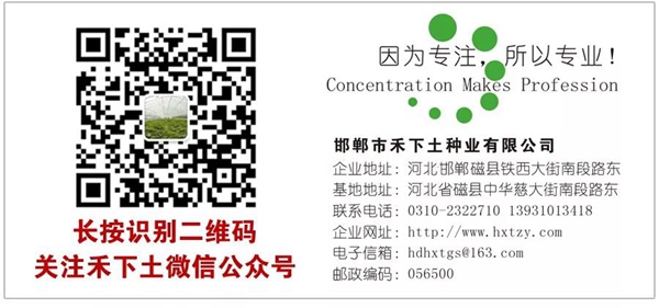 ׯ�к���Ϸ(�й�)�ɷ����޹�˾-����