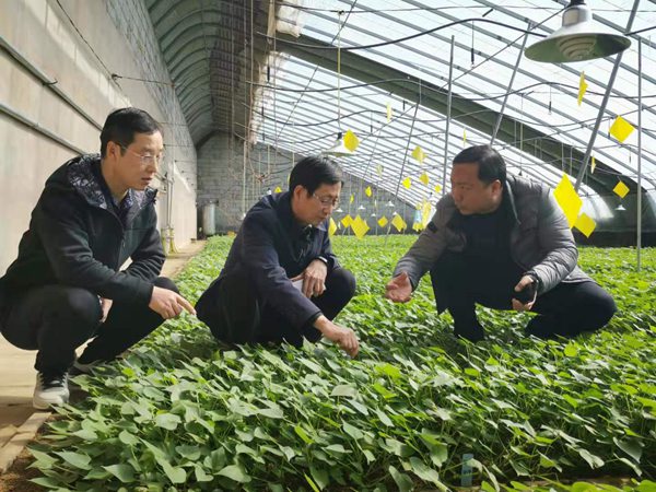 ׯ�к���Ϸ(�й�)�ɷ����޹�˾-����