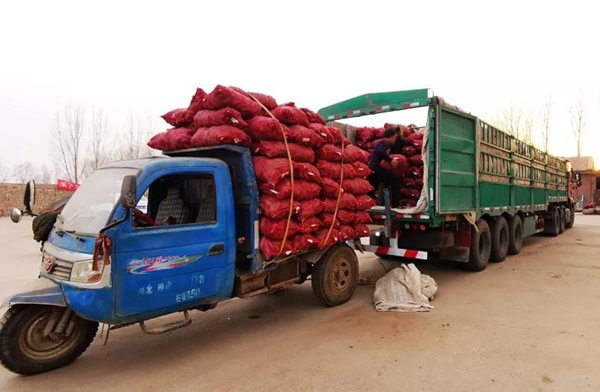 ׯ�к���Ϸ(�й�)�ɷ����޹�˾-����