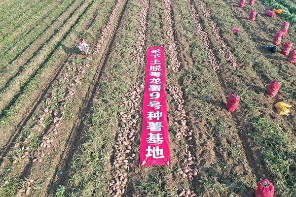 ׯ�к���Ϸ(�й�)�ɷ����޹�˾-����