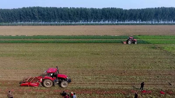 ׯ�к���Ϸ(�й�)�ɷ����޹�˾-����