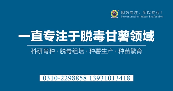 ׯ�к���Ϸ(�й�)�ɷ����޹�˾-����