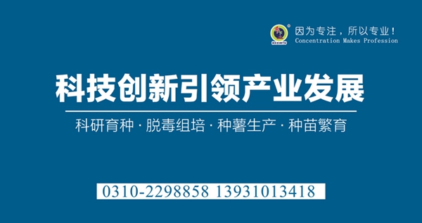 ׯ�к���Ϸ(�й�)�ɷ����޹�˾-����