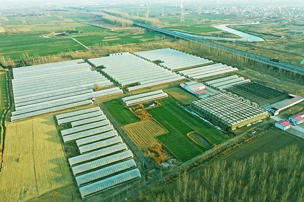 ׯ�к���Ϸ(�й�)�ɷ����޹�˾-����