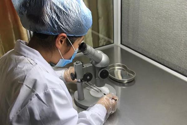 ׯ�к���Ϸ(�й�)�ɷ����޹�˾-����