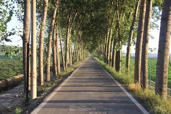 ׯ�к���Ϸ(�й�)�ɷ����޹�˾-����