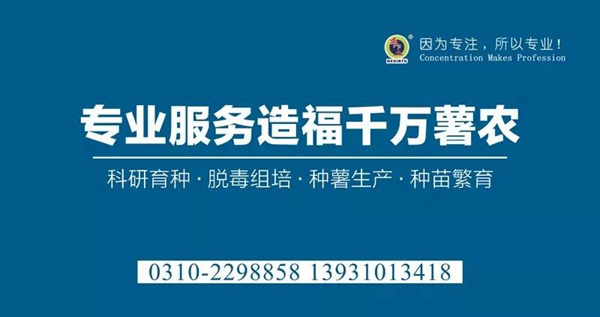 ׯ�к���Ϸ(�й�)�ɷ����޹�˾-����