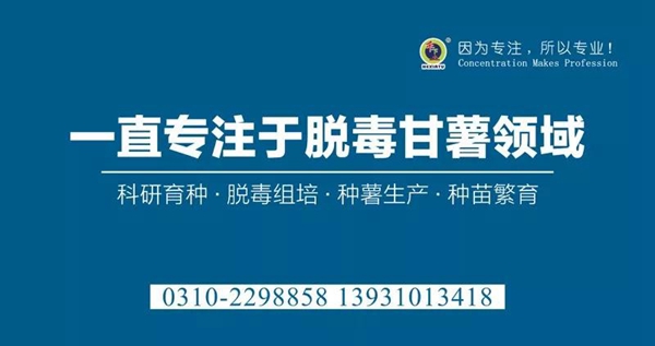 ׯ�к���Ϸ(�й�)�ɷ����޹�˾-����