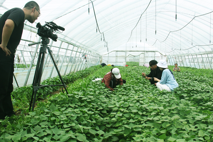 ׯ�к���Ϸ(�й�)�ɷ����޹�˾-����