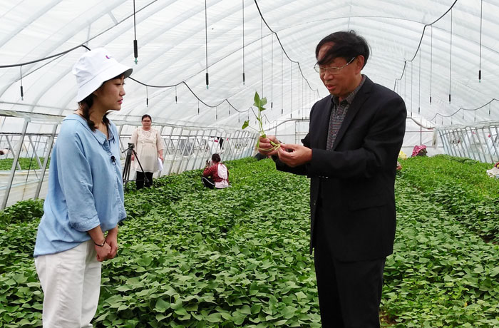 ׯ�к���Ϸ(�й�)�ɷ����޹�˾-����