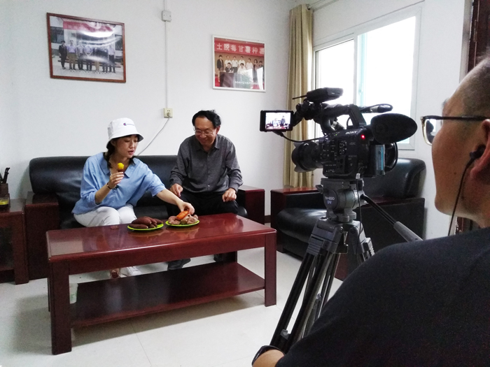 ׯ�к���Ϸ(�й�)�ɷ����޹�˾-����