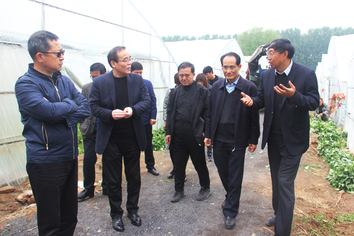 ׯ�к���Ϸ(�й�)�ɷ����޹�˾-����