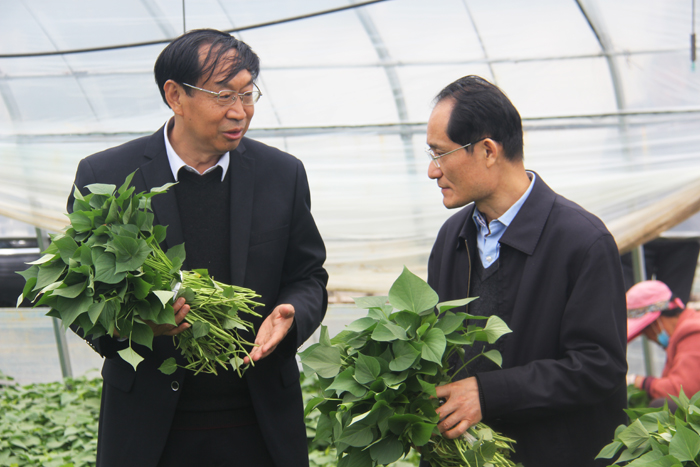 ׯ�к���Ϸ(�й�)�ɷ����޹�˾-����