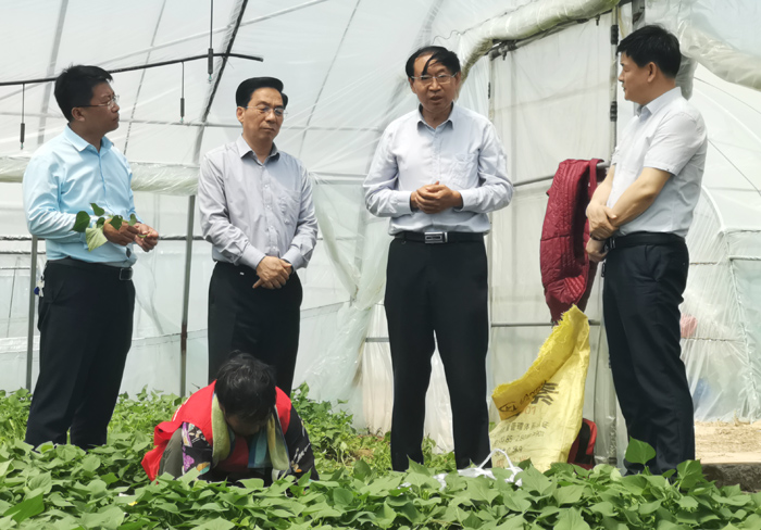 ׯ�к���Ϸ(�й�)�ɷ����޹�˾-����