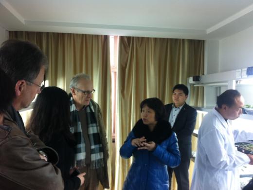 ׯ�к���Ϸ(�й�)�ɷ����޹�˾-����