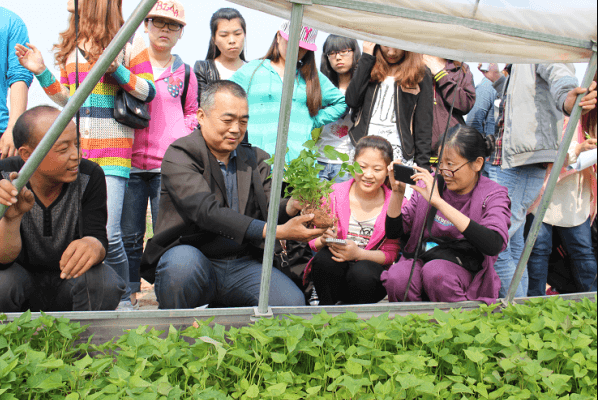 ׯ�к���Ϸ(�й�)�ɷ����޹�˾-����