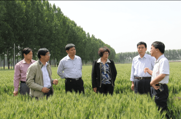 ׯ�к���Ϸ(�й�)�ɷ����޹�˾-����