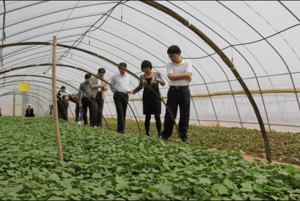 ׯ�к���Ϸ(�й�)�ɷ����޹�˾-����