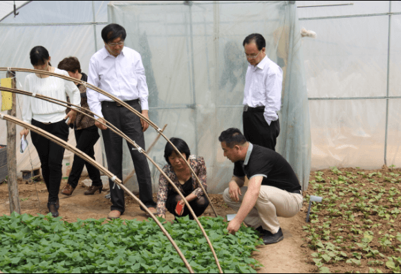 ׯ�к���Ϸ(�й�)�ɷ����޹�˾-����