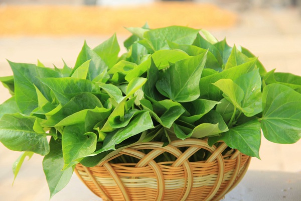 ׯ�к���Ϸ(�й�)�ɷ����޹�˾-����