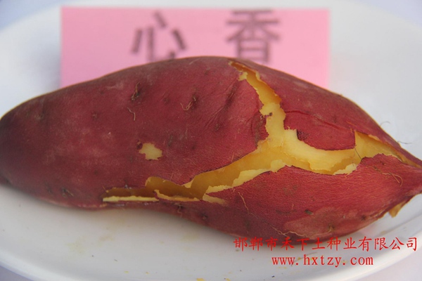 ׯ�к���Ϸ(�й�)�ɷ����޹�˾-����