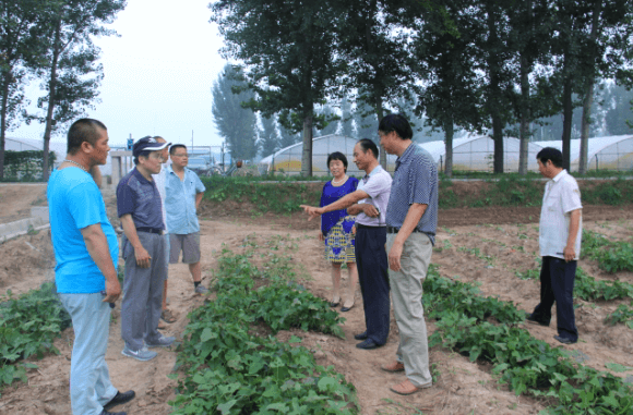 ׯ�к���Ϸ(�й�)�ɷ����޹�˾-����