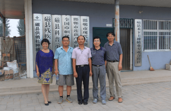 ׯ�к���Ϸ(�й�)�ɷ����޹�˾-����