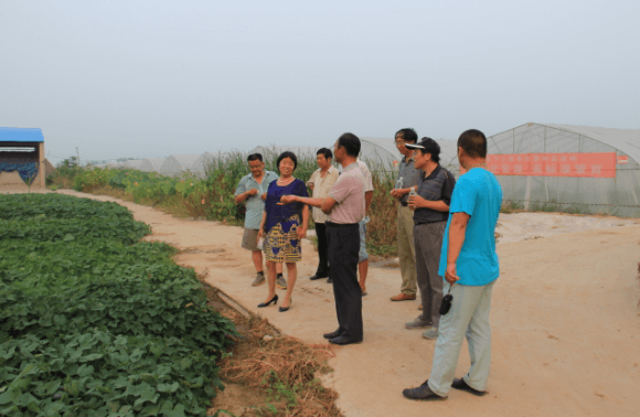 ׯ�к���Ϸ(�й�)�ɷ����޹�˾-����