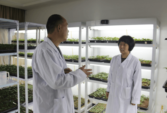 ׯ�к���Ϸ(�й�)�ɷ����޹�˾-����