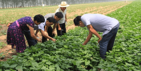 ׯ�к���Ϸ(�й�)�ɷ����޹�˾-����