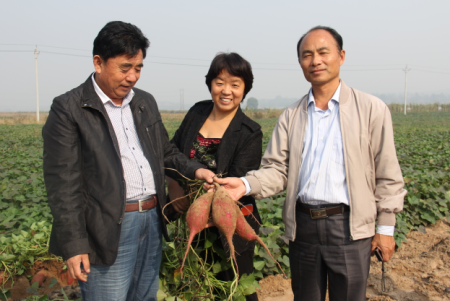 ׯ�к���Ϸ(�й�)�ɷ����޹�˾-����