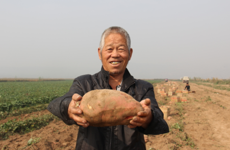 ׯ�к���Ϸ(�й�)�ɷ����޹�˾-����