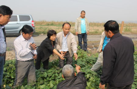 ׯ�к���Ϸ(�й�)�ɷ����޹�˾-����