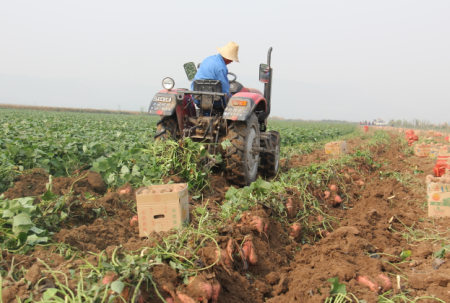 ׯ�к���Ϸ(�й�)�ɷ����޹�˾-����