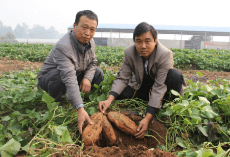 ׯ�к���Ϸ(�й�)�ɷ����޹�˾-����