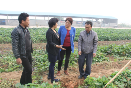 ׯ�к���Ϸ(�й�)�ɷ����޹�˾-����