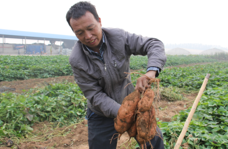 ׯ�к���Ϸ(�й�)�ɷ����޹�˾-����