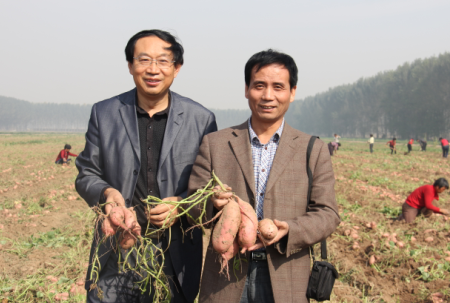 ׯ�к���Ϸ(�й�)�ɷ����޹�˾-����