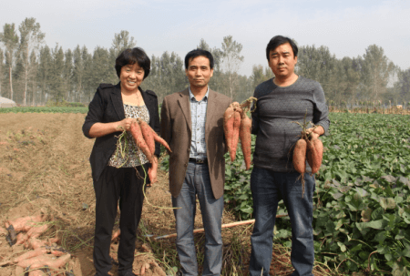 ׯ�к���Ϸ(�й�)�ɷ����޹�˾-����