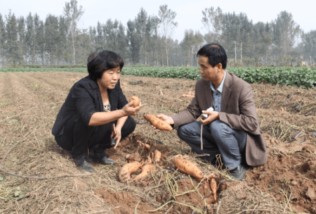 ׯ�к���Ϸ(�й�)�ɷ����޹�˾-����