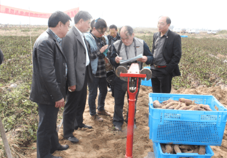 ׯÏкÍÓÎÏ·(Öйú)¹É·ÝÓÐÏÞ¹«Ë¾-¹ÙÍø