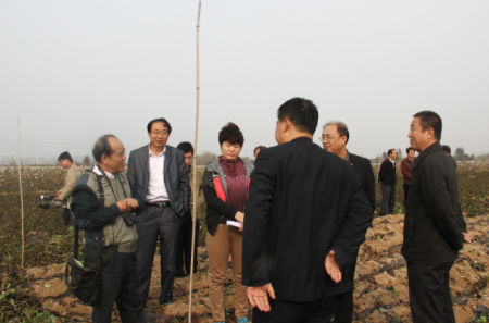 ׯÏкÍÓÎÏ·(Öйú)¹É·ÝÓÐÏÞ¹«Ë¾-¹ÙÍø